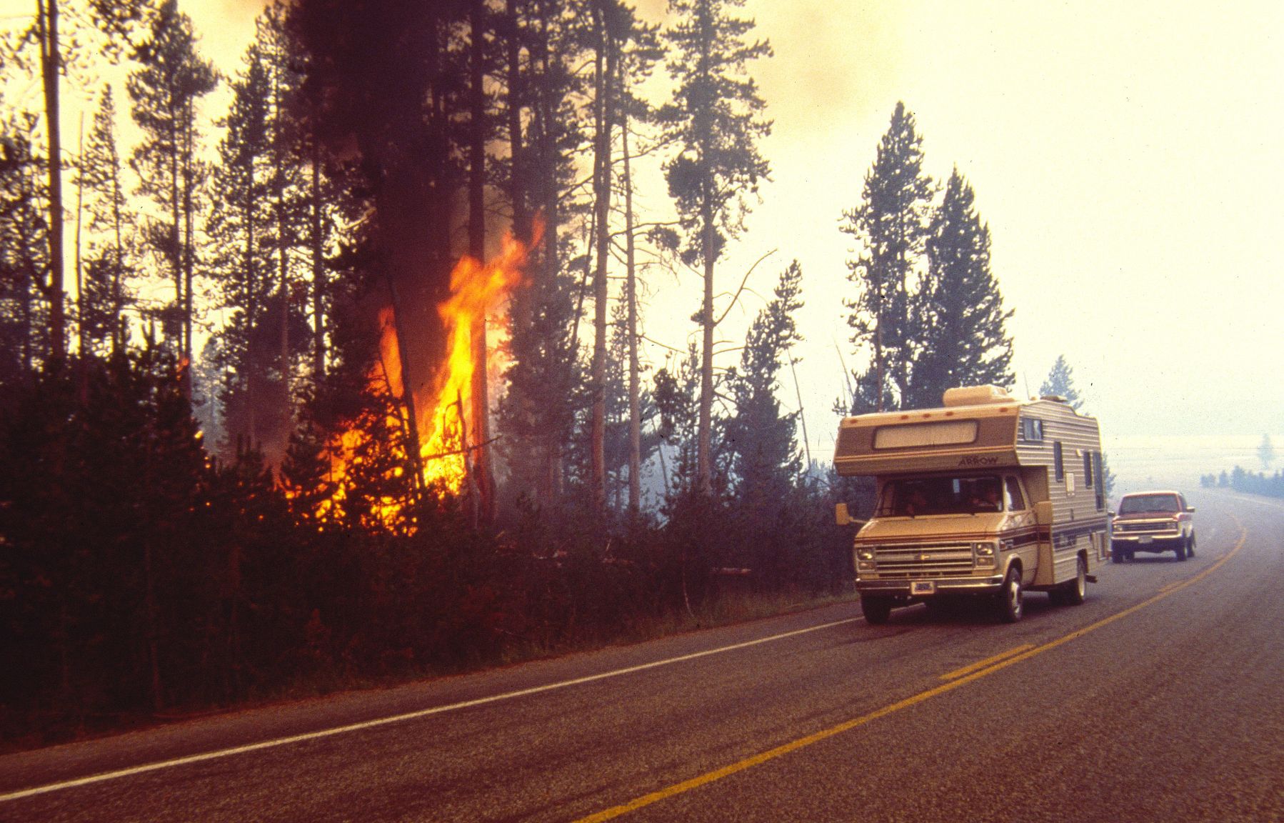 Yellowstone fire tourists